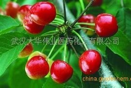 针叶樱桃提取物