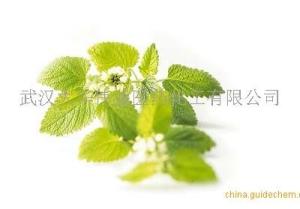 香蜂草精油