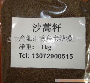 供应沙蒿籽油  蒿籽油 ａ-ＶＥ 含量高 价格