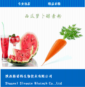 白萝卜粉 白萝卜提取物 白萝卜膳食纤维