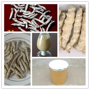 僵蚕提取物  僵蚕原粉  批发僵蚕浸膏