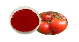 蕃茄粉  西红柿粉 番茄红素
