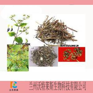 稀敛草提取物 提取液 生粉