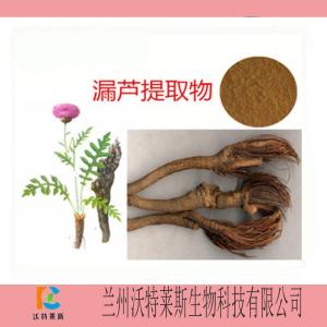 漏芦提取物  漏芦原粉 浸膏粉