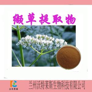 缬草提取物   缬草原粉