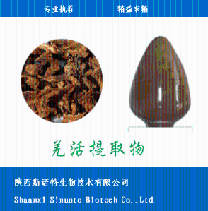 羌活浸膏粉 羌活提取物30:1 比例提取 高倍浓缩 全水溶