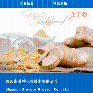 速溶生姜粉 生姜汁粉 水溶性粉 无沉淀 免费试样