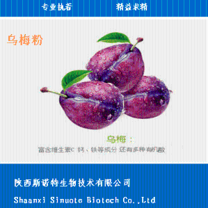 乌梅速溶粉，食品级 全水溶 *供应