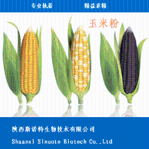 甜玉米粉 甜玉米提取物 甜玉米膳食纤维