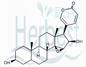 对照品s去乙酰华蟾毒精cinobufagincas4026953辰光