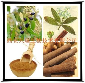 桂皮提取物 桂皮濃縮粉 供應(yīng)