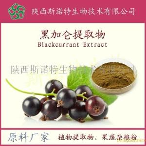 黑加仑粉 斯诺特生物 速溶黑加仑果粉 **