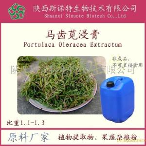 马齿苋浸膏价格
