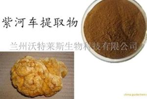 紫河车多肽     现货供应 包邮 