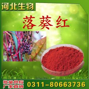落葵紅價格