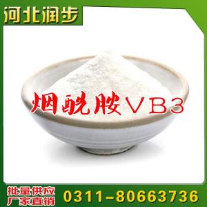 食品添加劑食品配料煙酰胺營養(yǎng)強(qiáng)化劑