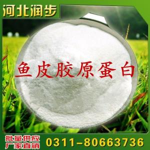 魚(yú)皮膠原蛋白用途用量
