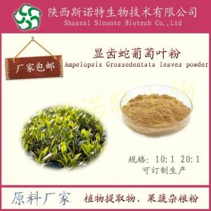 显齿蛇葡萄叶提取物 显齿蛇葡萄叶粉