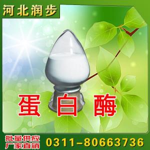 蛋白酶作用與功效