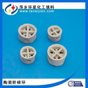 φ50/38陶瓷阶梯环填料现货供应瓷质阶梯环萍乡填料
