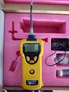 美国华瑞手持式PGM-1600多气体检测仪三组分检测应用