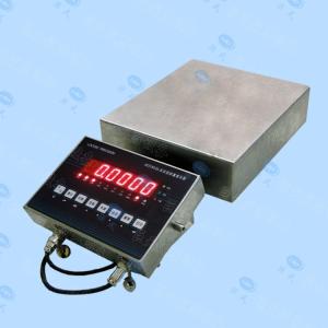 湖北6kg0.1g本安型防爆天平秤