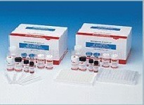 嗜水气单胞菌探针法荧光定量PCR试剂盒	 产品图片