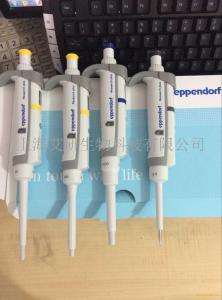 Eppendorf艾本德 Research plus 可调量程移液器 10-100ul 型号3120 000.240
