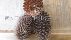 化香提取物