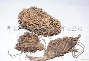 山葱提取物