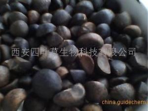 茶粕提取物/茶籽饼提取物/茶麸