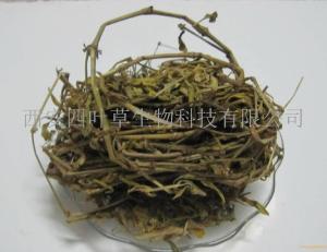 牡蒿提取物