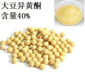大豆皂苷SOYASAPONIN I  51330-27-9 40%UV
