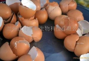 鸡蛋壳粉  1公斤起订  鸡蛋壳提取物