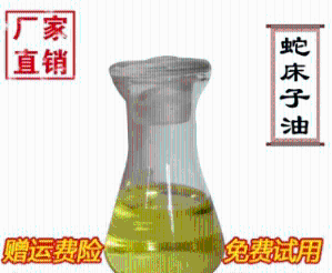 蛇床籽油生产