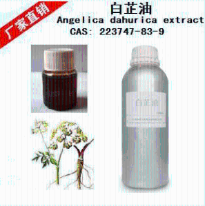 白芷油