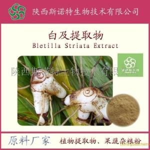 白及粉  白及提取物 中草药粉