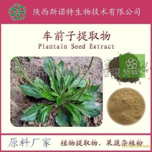 车前子粉