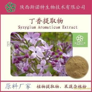 丁香浸膏 丁香提取液 丁香浓缩液 供应