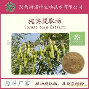槐实粉