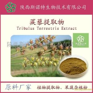 蒺藜粉 蒺藜提取物 中草药粉