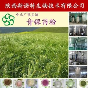 青稞苗粉 五谷杂粮粉 原料