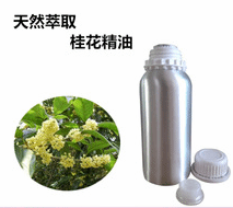 桂花油生产