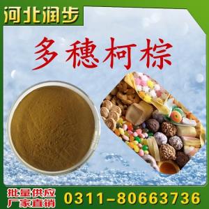 多穗柯棕用途用量