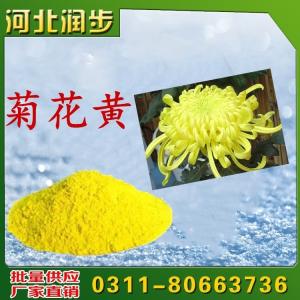 菊花黃用途用量