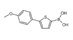 [5-(4-甲氧基苯基)-2-噻吩基]硼酸