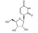 尿嘧啶核苷