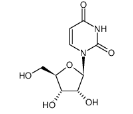 尿嘧啶核苷CAS号：58-96-8