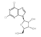 2,6-二氯嘌呤核苷