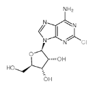 2-氯腺嘌呤核苷
